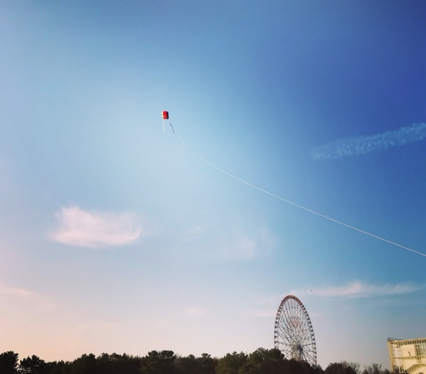 >あたらしい本棚